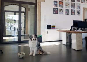 Fellow ist bereit seine Digitalcommunity willkommen zu heißen | hallo.digital GmbH Karlsruhe