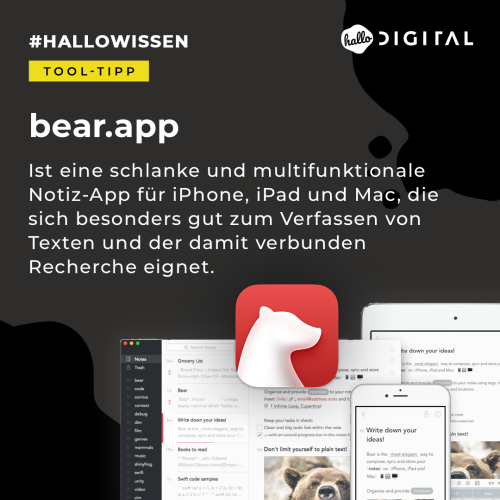 ToolTipp hallo digital bear app instagram visual